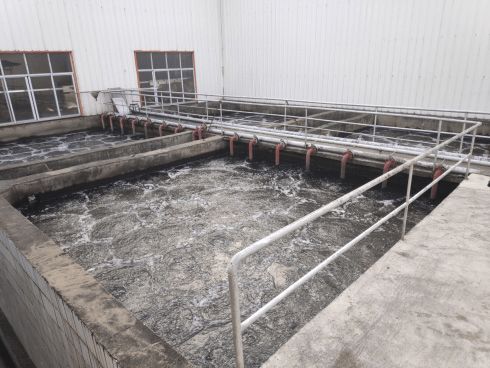 減排行動刻不容緩,綠色轉型的必然